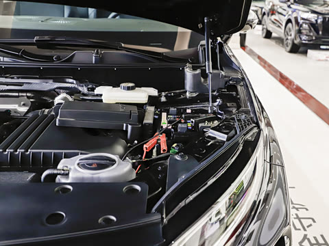 2025�� �Ŀ�  2.0T PHEV ���������� 7��