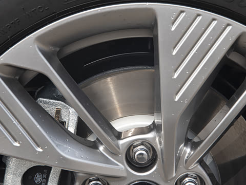 2025�� 565km ������