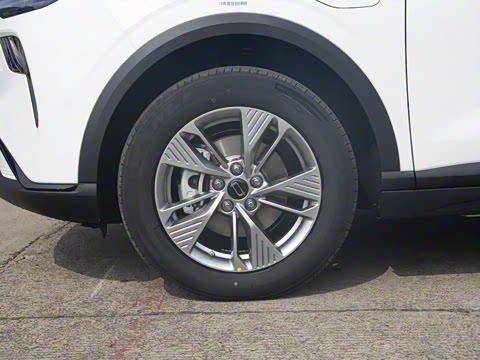 2025�� 565km ������