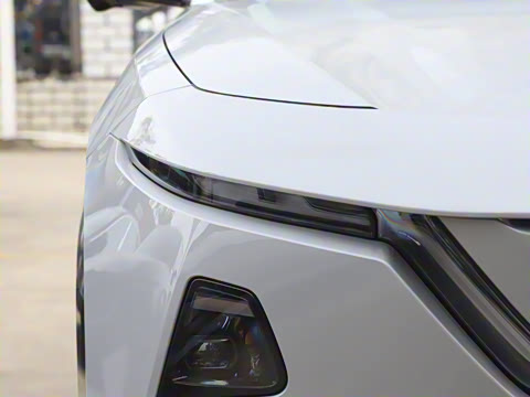 2025�� ����600 Pro