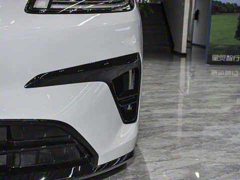 2026�� 520�Ǻ���