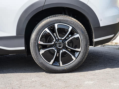 2026�� DM-i �Ǻ���