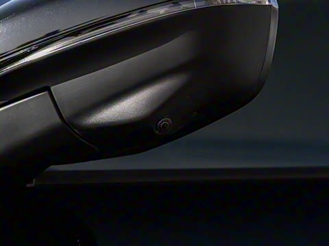 2025�� ������