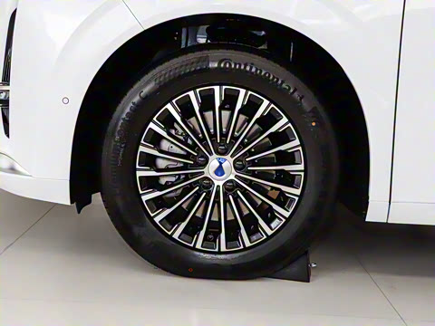 2025�� DM-i ��������