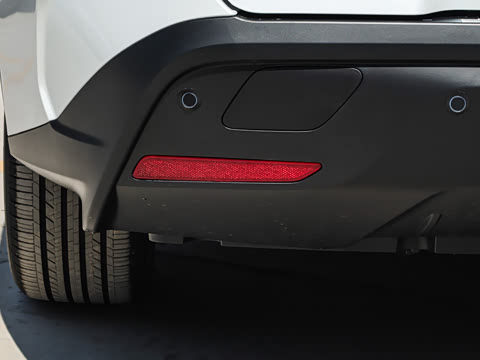 2026�� ������ JOY