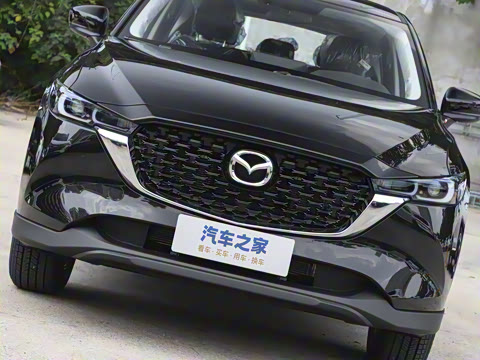 2025�� 2.0L �Զ�����������