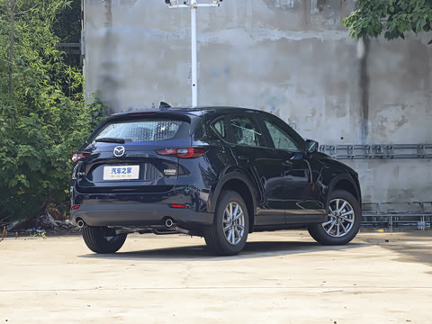 2025�� 2.0L �Զ���������Pro