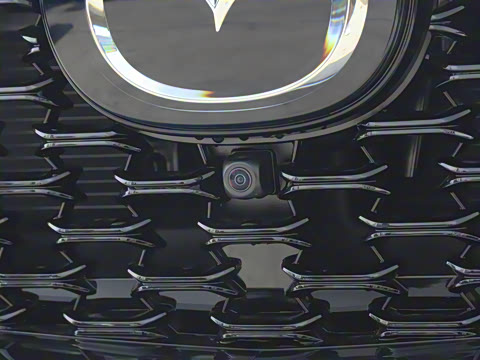 2025�� 2.0L �Զ���������Pro