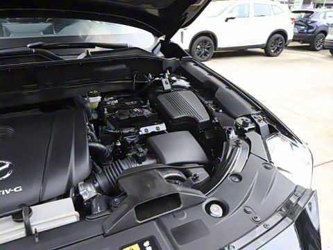 2025�� 2.0L �Զ�����������