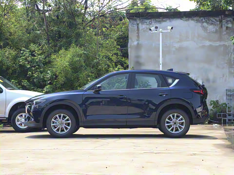 2025�� 2.0L �Զ���������Pro