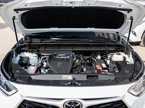 2026�� 380T ���������� 7��