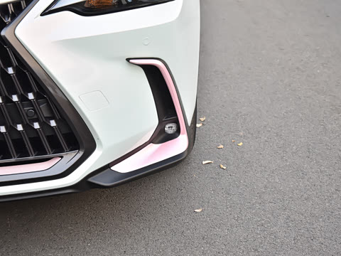 2026�� 200 ��ɫ�޶���