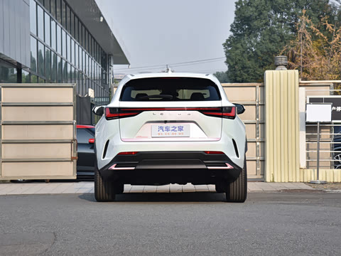 2026�� 200 ��ɫ�޶���