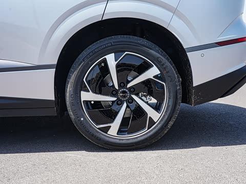 2026�� DM-i 305Զ����