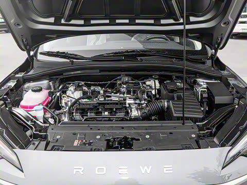 2026�� 1.5L �ֶ�������