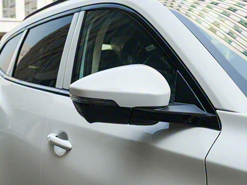 2025�� 300T ������ҹ��