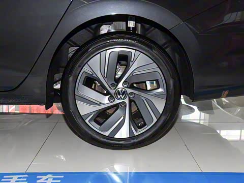 2025�� �Ŀ� 300TSI DSG���а�