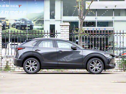 2025�� 2.0L �Զ�������