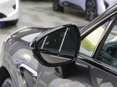 2025�� Max ���������