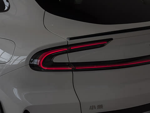 2025�� ������������Pro��