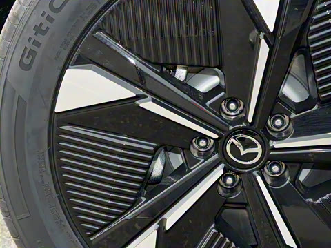 2025�� ����200 Pro