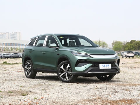 2026�� DM-i 220KM��Խ��