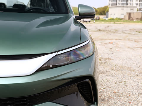 2026�� DM-i 220KM��Խ��