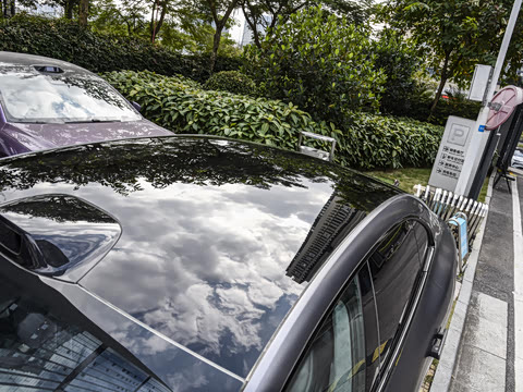 2025�� ������