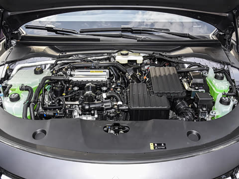 2025�� ������