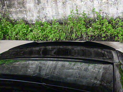 2026�� ������ 1.5TD ���ذ�