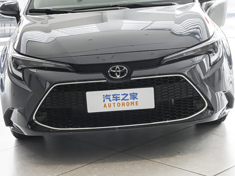 2026�� ����L 185T ������