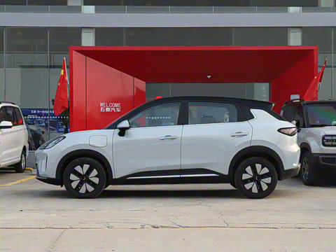 2025�� 325km ������