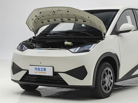 2026�� 305km ������