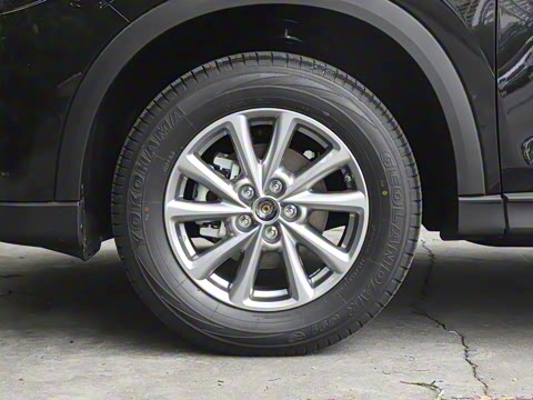 2025�� 2.0L �Զ���������Pro