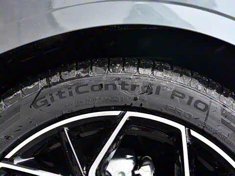 2026�� �����������̰� 310�콢��