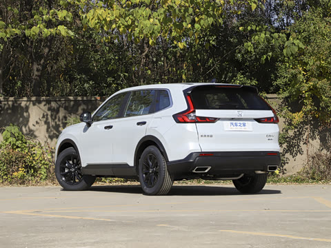 2026�� ȫ��30����ҫ�� 2.0L e:HEV �������а�