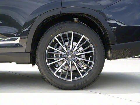 2025�� 290TGDI DCT����� 