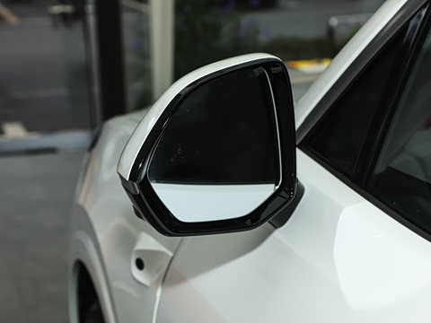 2025�� Max ������