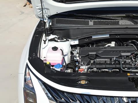 2026�� ��� 2.0L ������DLX