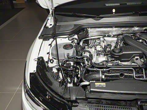 2025�� �Ŀ�� 300TSI R-Line