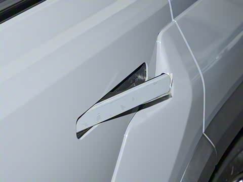 2025�� 520���������