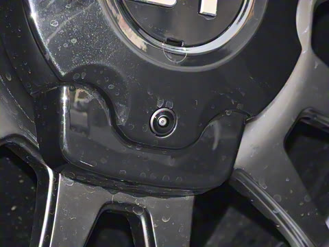 2025�� ������-��Ұ 5��