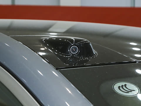 2025�� Max ������