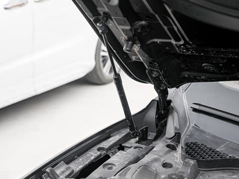 2025�� ��� ����������