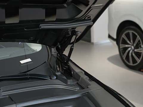 2026�� 625 Max �콢��