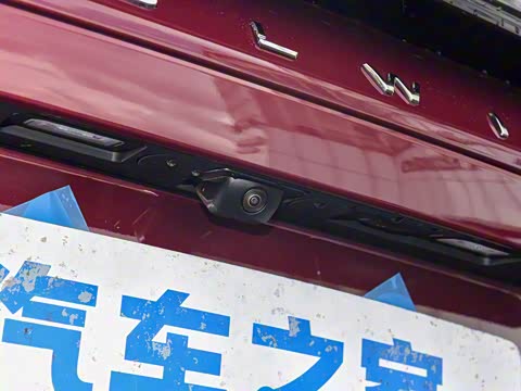 2025�� 260��������������