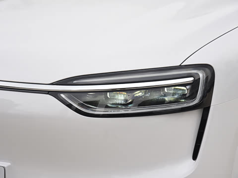 2026�� ���� Max�������� 5��