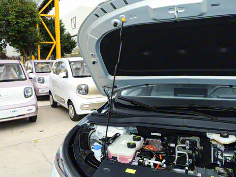 2025�� 565km ������