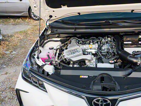 2025�� 1.2T ��Ӣ��