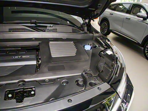 2025�� 300T �����ǹ��